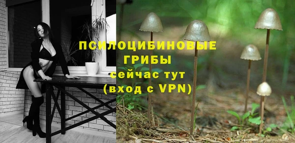 твердый Алексин
