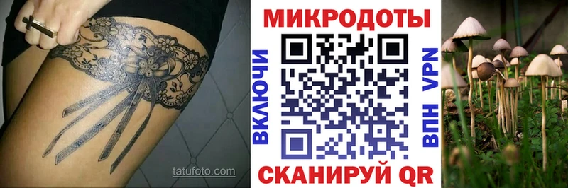 Галлюциногенные грибы ЛСД  Новосиль 